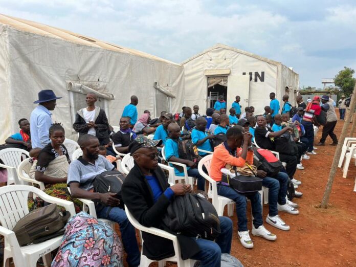 lubero-287-ex-commandants-transformes-pour-la-paix-grace-au-pddrcs Lubero : 287 ex-commandants transformés pour la paix grâce au PDDRCS
