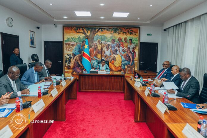 zes-rdc-7-nouvelles-zones-economiques-speciales-pour-booster-lemploi ZES RDC : 7 nouvelles zones économiques spéciales pour booster l'emploi